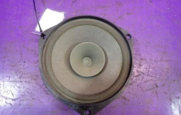 Front door speaker