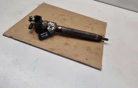 Mercedes-Benz ML W163 Fuel injector 0445110095