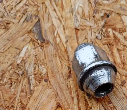 Nuts/bolts