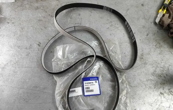 Volvo V40 Cross country Alternator belt 31430016 31401813