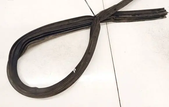 Renault Megane I Rubber seal front coupe door