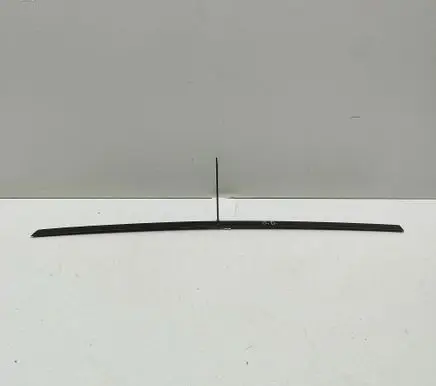 BMW X6 G06 Rear door glass trim molding 5A8A254