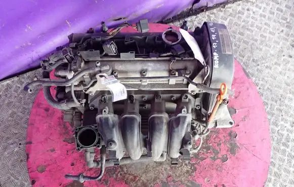 Volkswagen Polo IV 9N3 Engine
