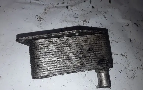 BMW 3 E46 Oil filter mounting bracket 7787698 5989070102