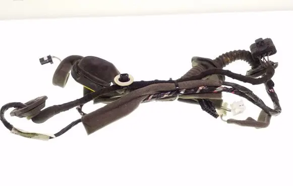 Rear door wiring loom