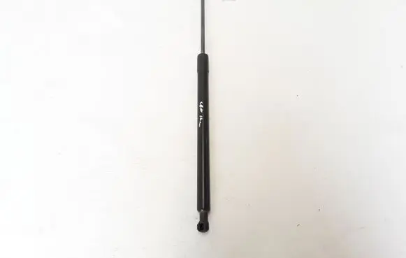 Tailgate strut