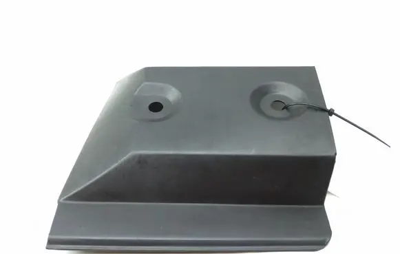 Rear/tail light trim molding
