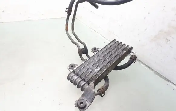 Hyundai Santa Fe Engine oil radiator 2546026510