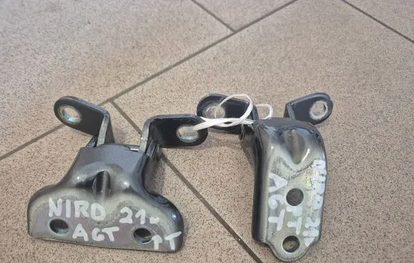 KIA Niro Rear door hinge set
