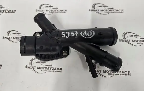 Thermostat/thermostat housing
