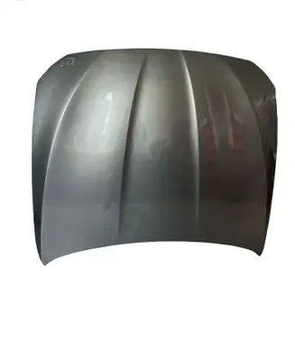 BMW 5 F10 F11 Engine bonnet/hood 41617207194