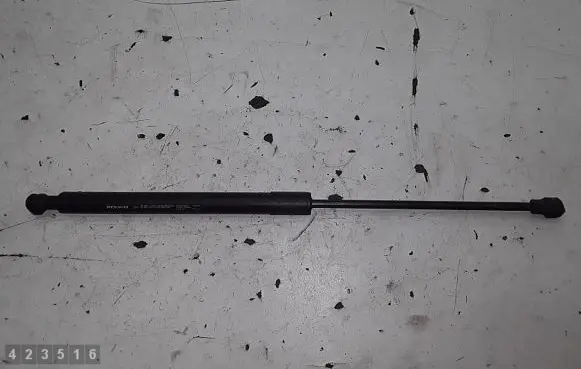 Renault Sandero I Tailgate/trunk strut/damper 904529943R