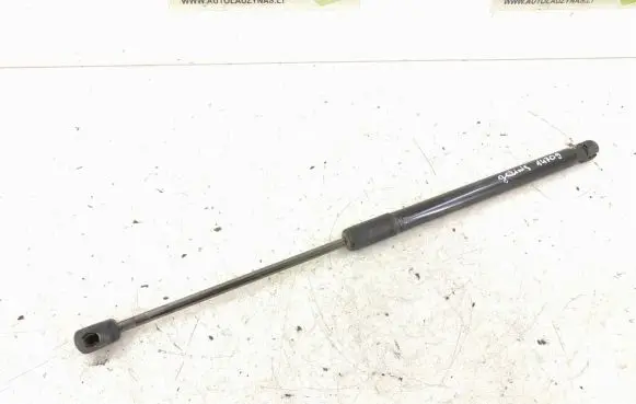 Tailgate strut