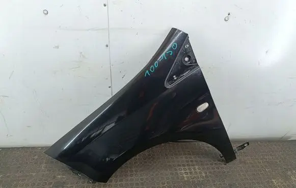 Fiat Bravo Fender 