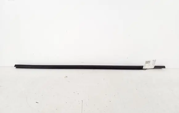 Nissan Juke I F15 Front door glass trim molding 