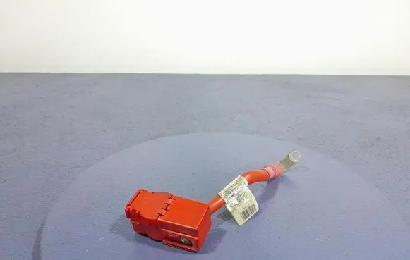 Other wiring loom
