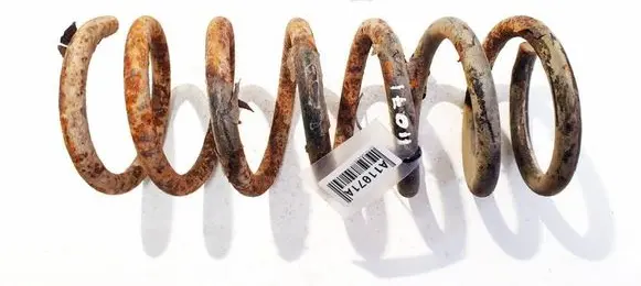 Chevrolet Captiva Rear coil spring
