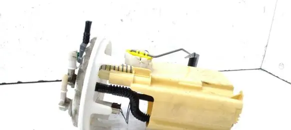 Citroen C6 In-tank fuel pump