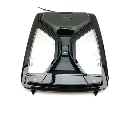 BMW X6 G06 Front seat light 5B32483 28820718