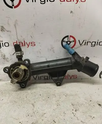 Thermostat/thermostat housing