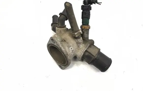 Thermostat/thermostat housing