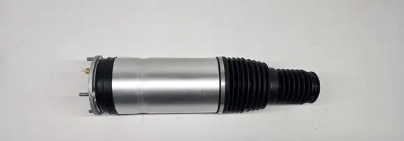 Land Rover Range Rover Sport L494 Air suspension front shock absorber DPLA3C285CG lr087082