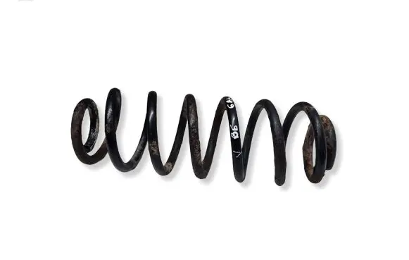 Volkswagen PASSAT B6 Rear coil spring 