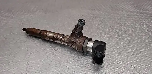 Renault Laguna III Fuel injector H8200294788 166009445R