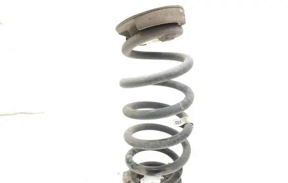 Jaguar E-Pace Rear coil spring