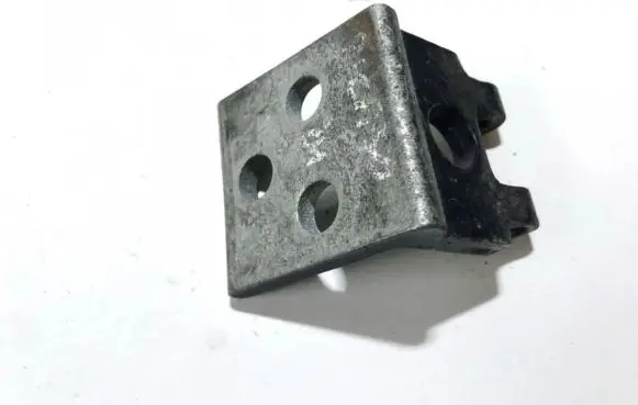 Rear door lower hinge