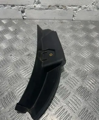 Rear/tail light trim molding