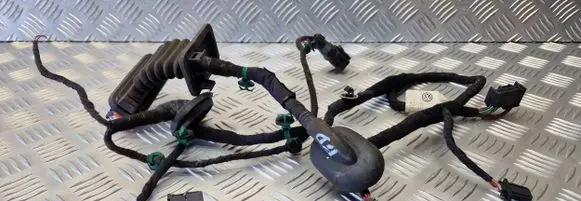 Volkswagen Golf V Front door wiring loom 1K0971121AG