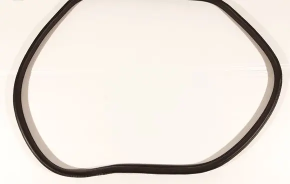 Mini Clubman F54 Rear door rubber seal (on body) 7344161