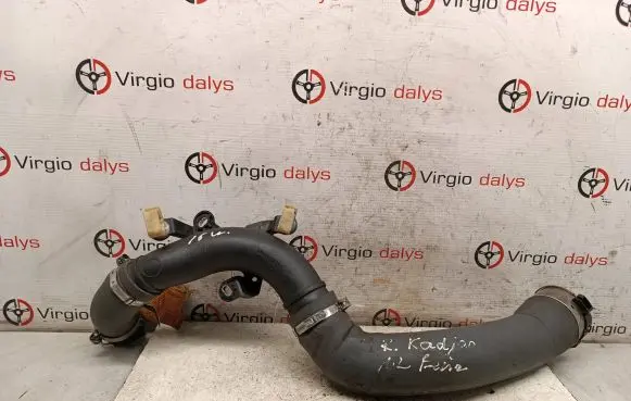 Renault Kadjar Air intake hose/pipe 144601001R