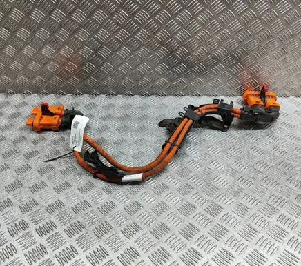 Audi Q4 e-tron Other wiring loom 1EA973732X 1EA973733X