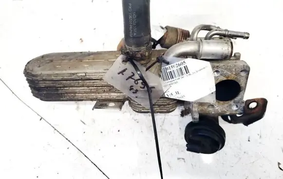 Volkswagen Golf V EGR valve 038131513AD