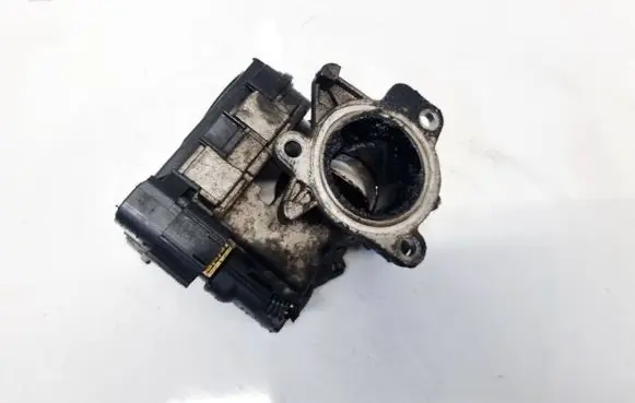 Fiat Doblo Throttle valve 55213019