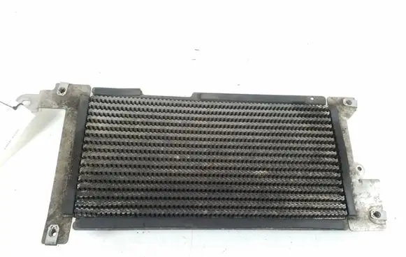 Jaguar XF X250 Optional radiator 6R839N103AA
