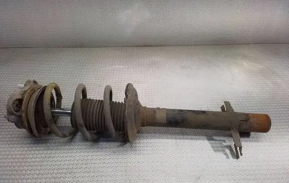 Fiat Ducato Front shock absorber with coil spring 50706253