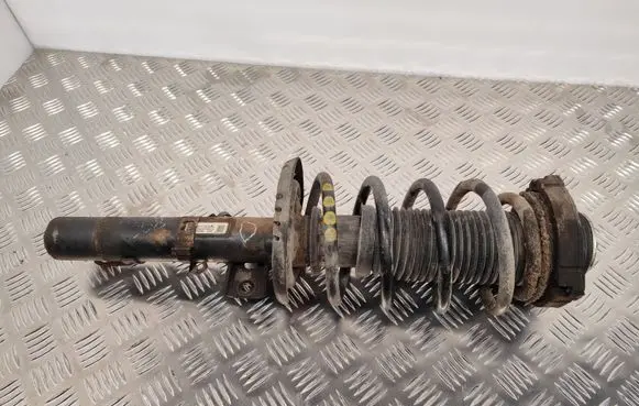 Skoda Roomster (5J) Front shock absorber with coil spring 6Q0413031BL