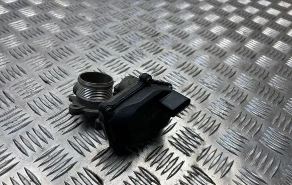 EGR valve