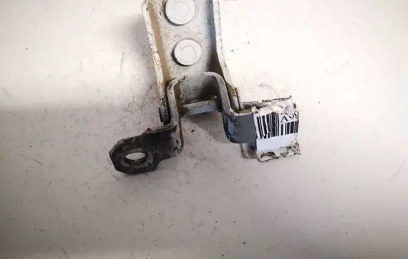 Renault Laguna II Rear door lower hinge