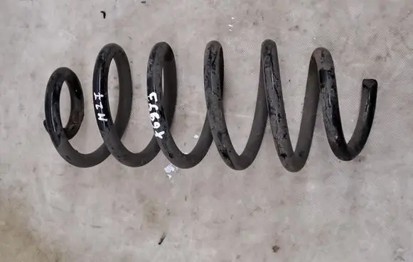 Rear coil spring