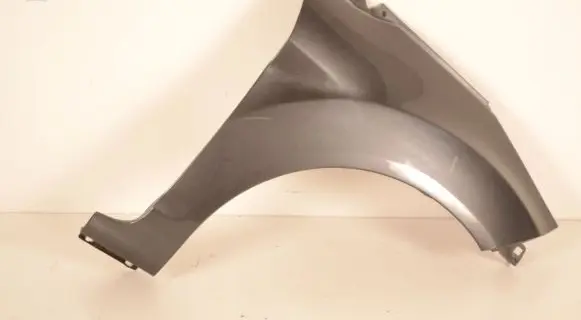 Ford Fiesta Fender