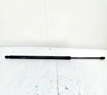 Ford Escape III Tailgate/trunk strut/damper CJ54S406A10AC