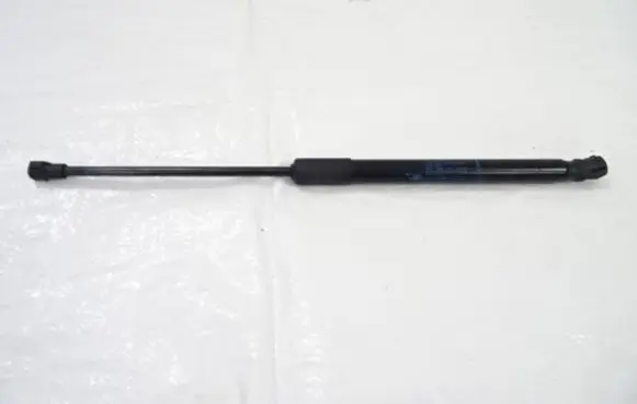 Renault Kadjar Tailgate strut 904516026R
