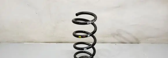 Renault Arkana Rear coil spring 550191828R 550362599R
