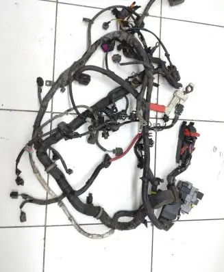 Engine installation wiring loom