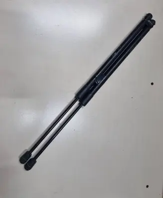 Tailgate/trunk strut/damper