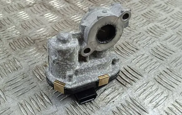 EGR valve